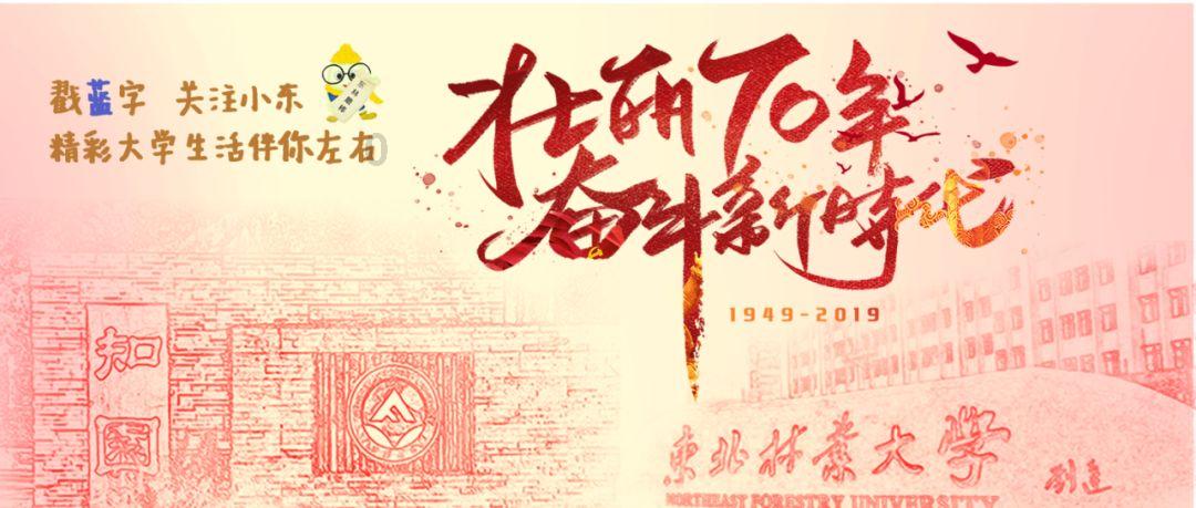 《幻兽帕鲁》地图大小调整介绍